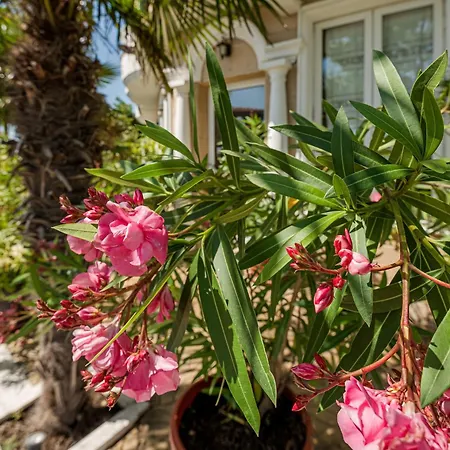 Hotel Family Paros Pomorie